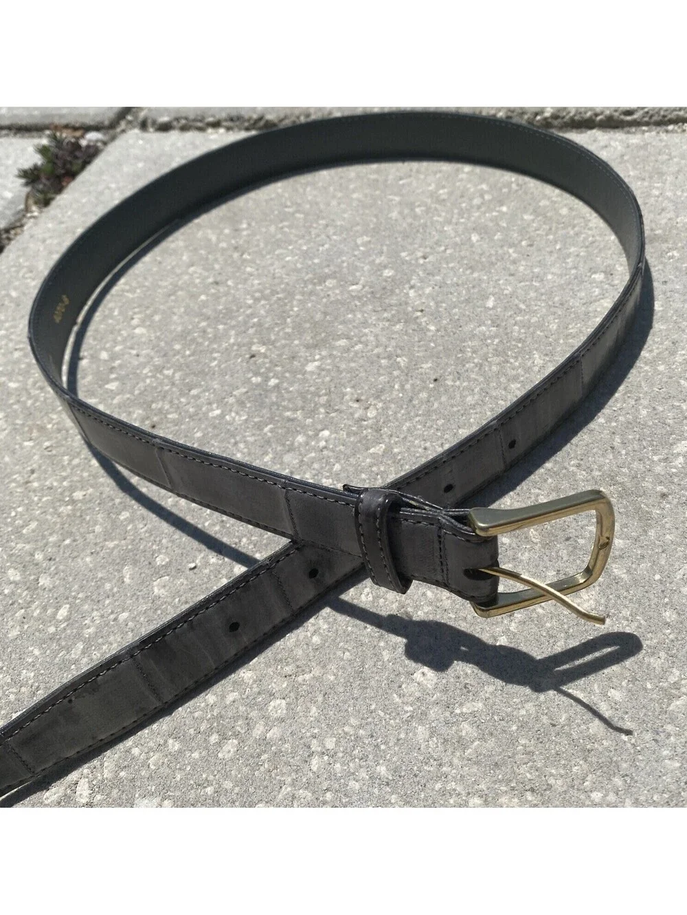 Vg Genuine Exotic EelSkin Gray Leather Belt Sz 32 Solid Brass Buckle Korea